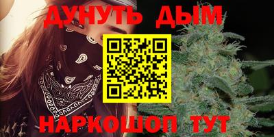 Альфа ПВП Кингисепп