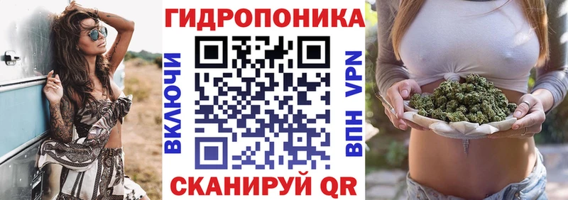 Марихуана гибрид где можно купить Мурино