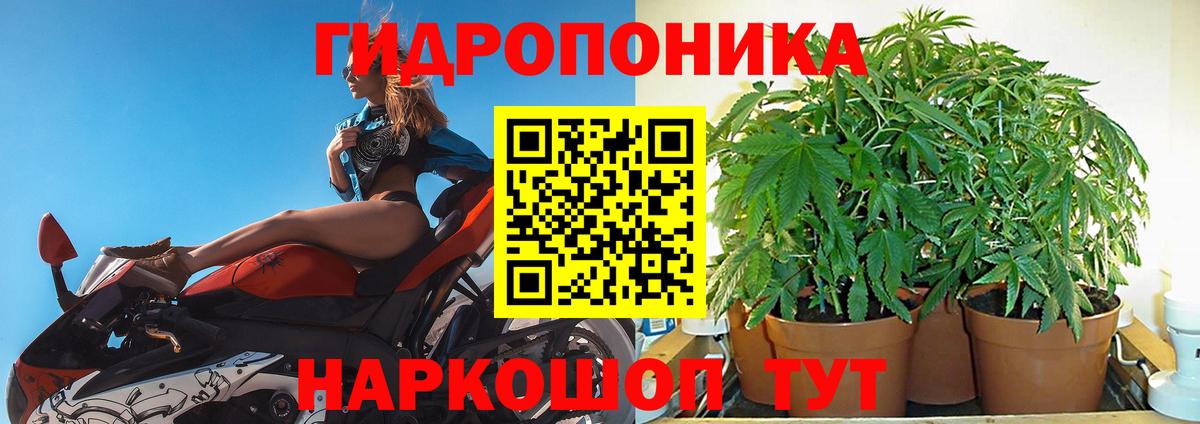 Бошки марихуана планчик Мурино